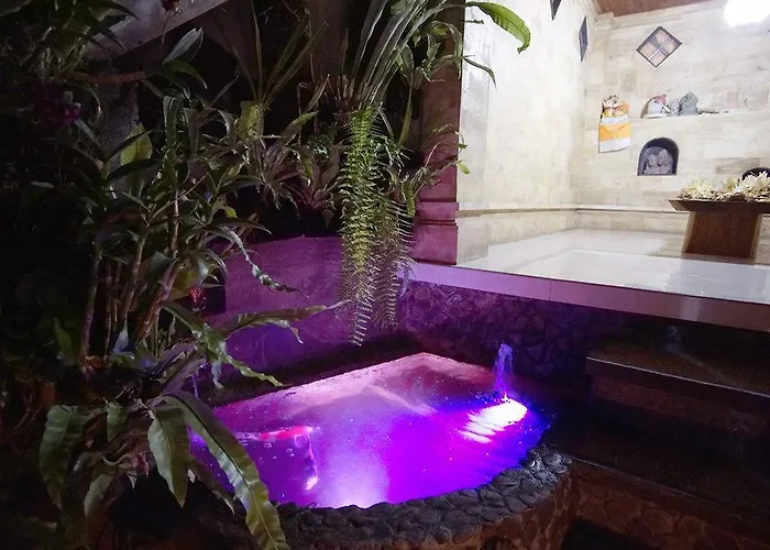 Dream Guest house